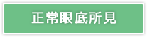 正常眼底所見